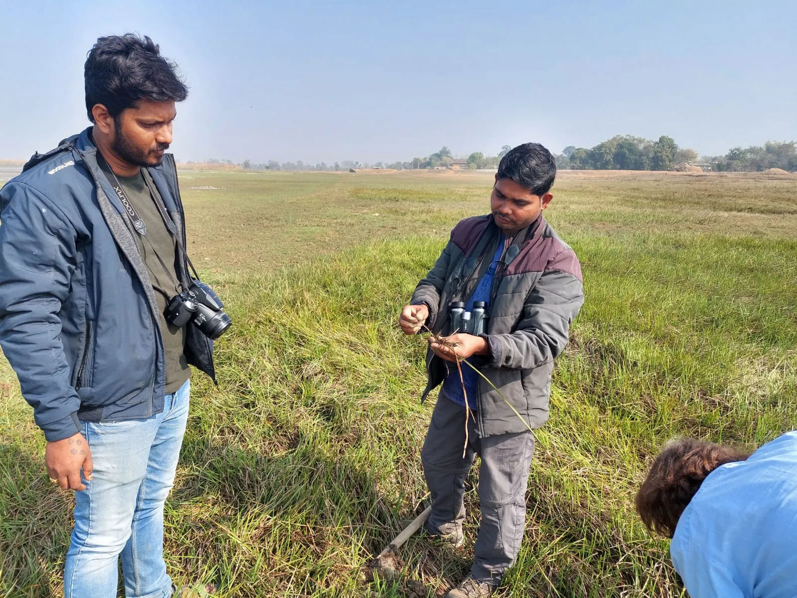 People examining vegetation in an open field